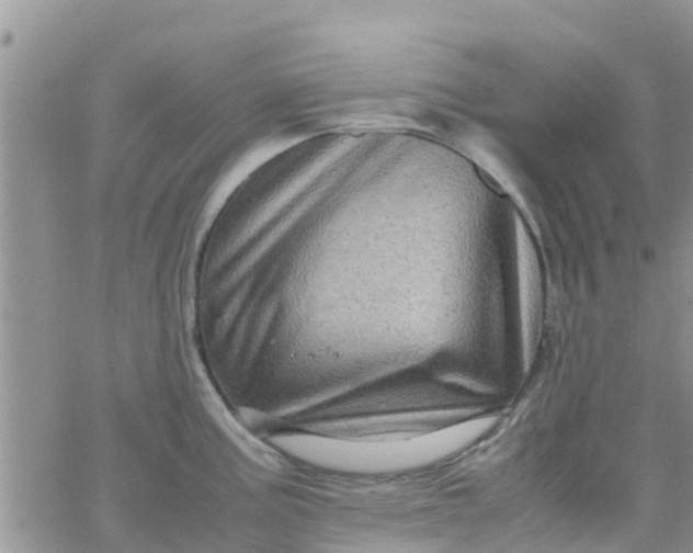 X0000065981195200603172107