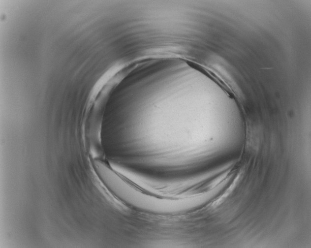 X0000065981196200603172107