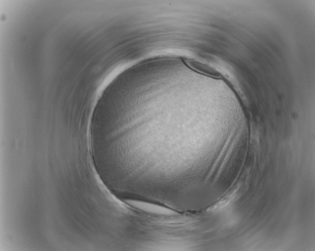 X0000065981199200603172107