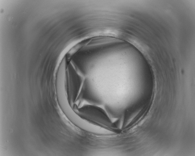 X0000065981200200603172107