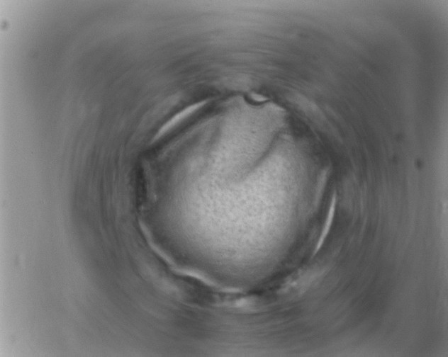 X0000065981201200603172106