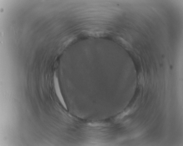 X0000065981202200603172106