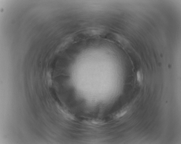 X0000065981203200603172106