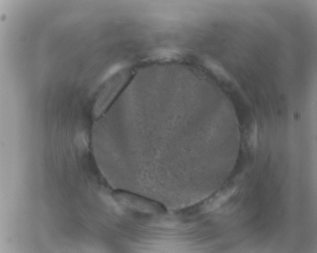 X0000065981206200603172106