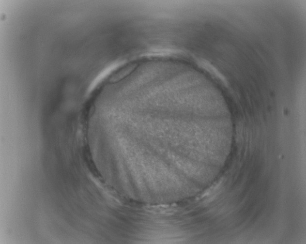 X0000065981208200603172106