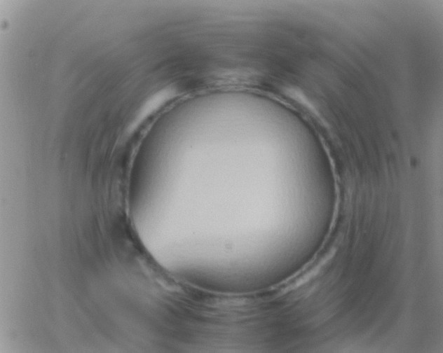 X0000065981211200603172106