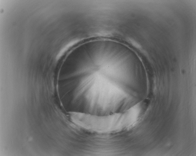 X0000065981214200603172107