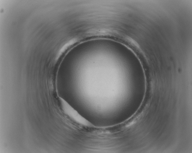 X0000065981218200603172107