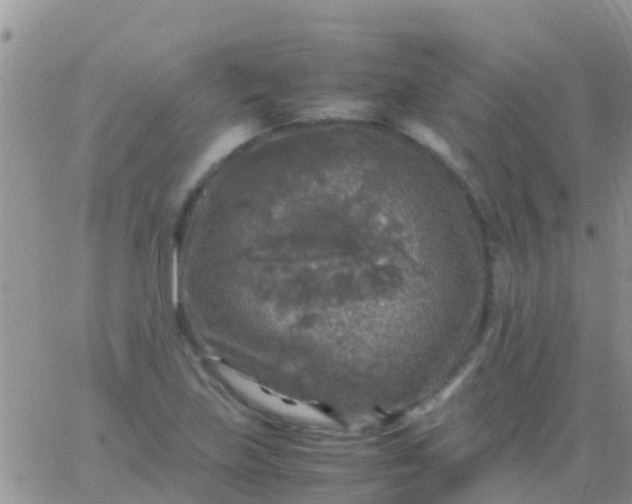 X0000065981219200603172107