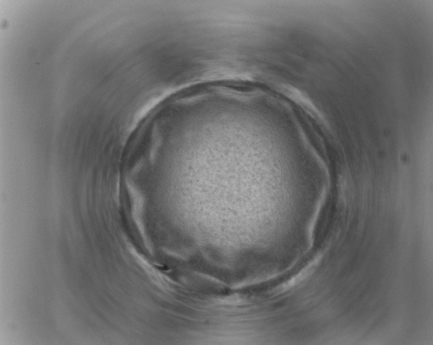 X0000065981220200603172107