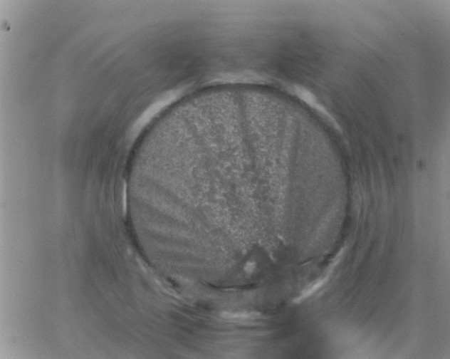 X0000065981221200603172107