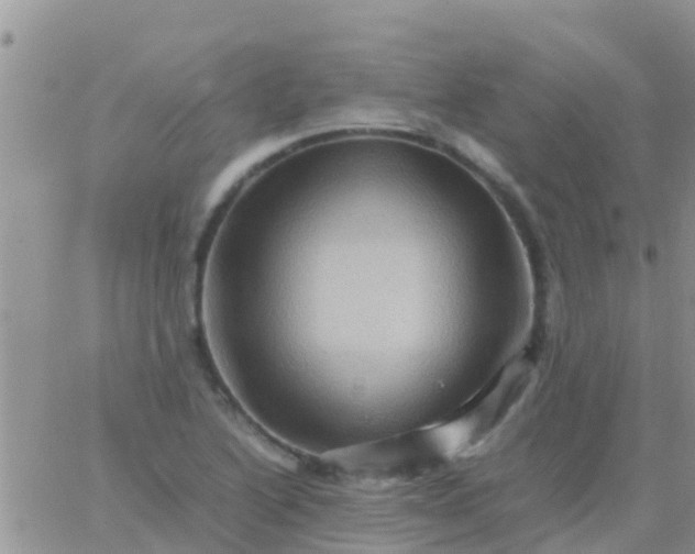 X0000065981222200603172107