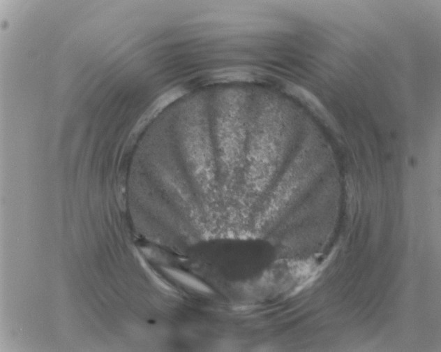 X0000065981225200603172107