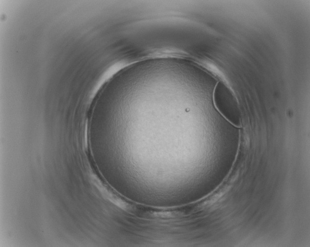 X0000065981227200603172107