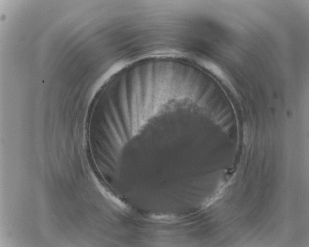 X0000065981229200603172107