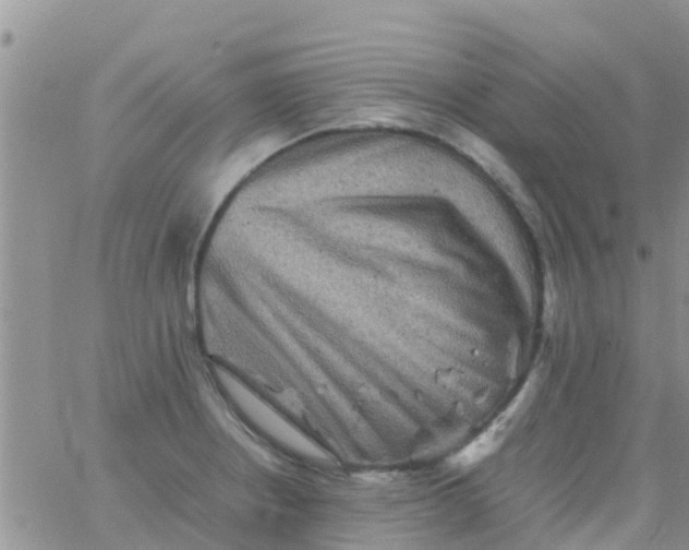 X0000065981234200603172107