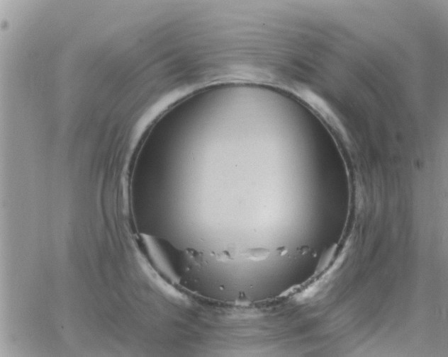 X0000065981238200603172107