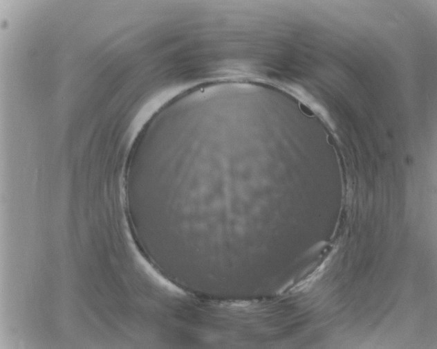 X0000065981239200603172107