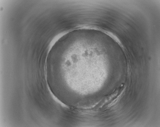 X0000065981247200603172107