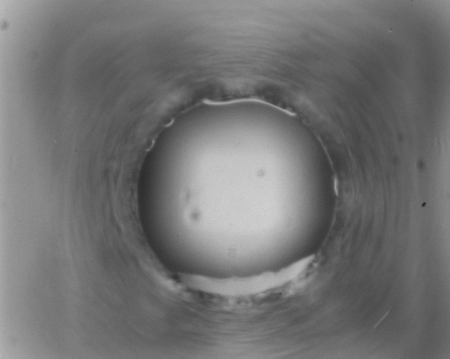 X0000065981249200603172106