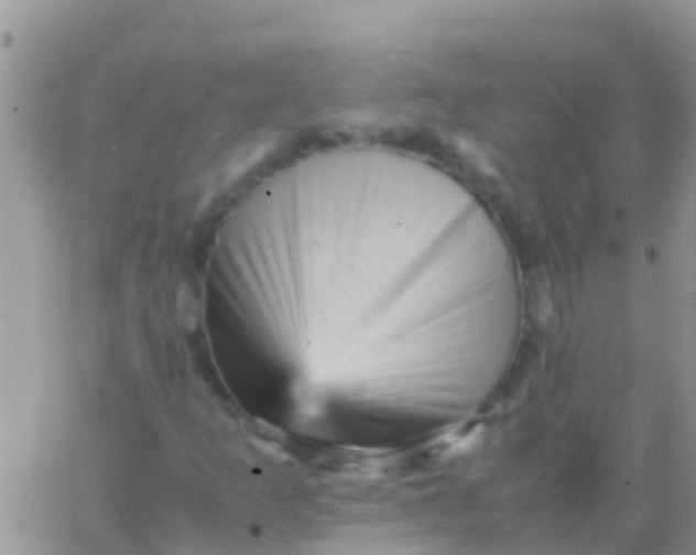 X0000065981253200603172106