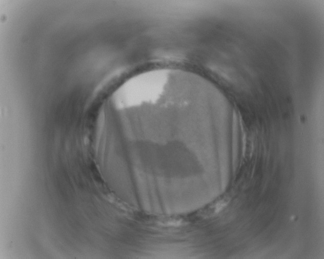 X0000065981254200603172106