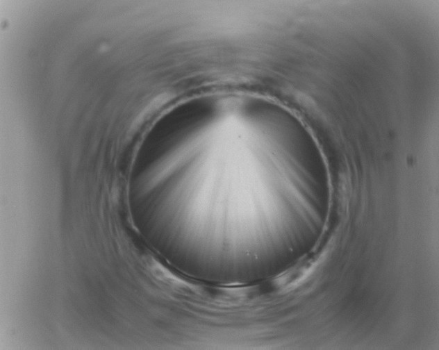 X0000065981257200603172106