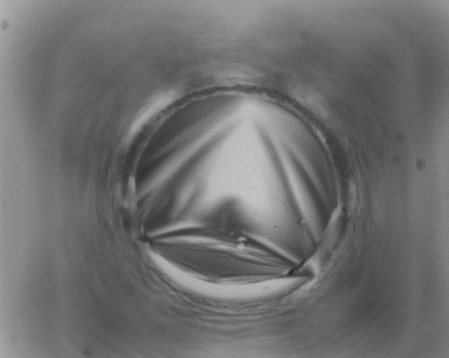 X0000065981261200603172106