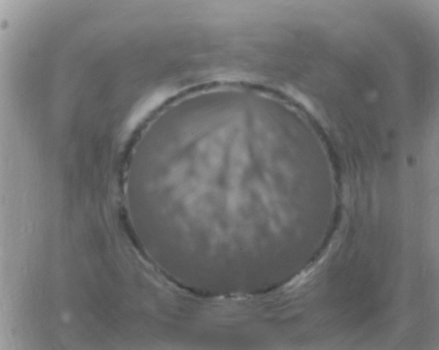 X0000065981263200603172106