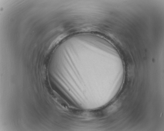 X0000065981265200603172106