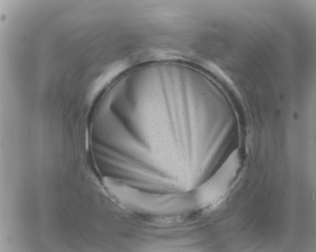 X0000065981269200603172106