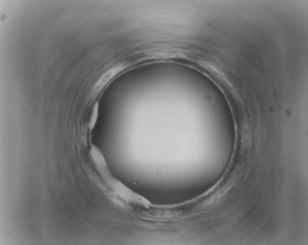 X0000065981273200603172106