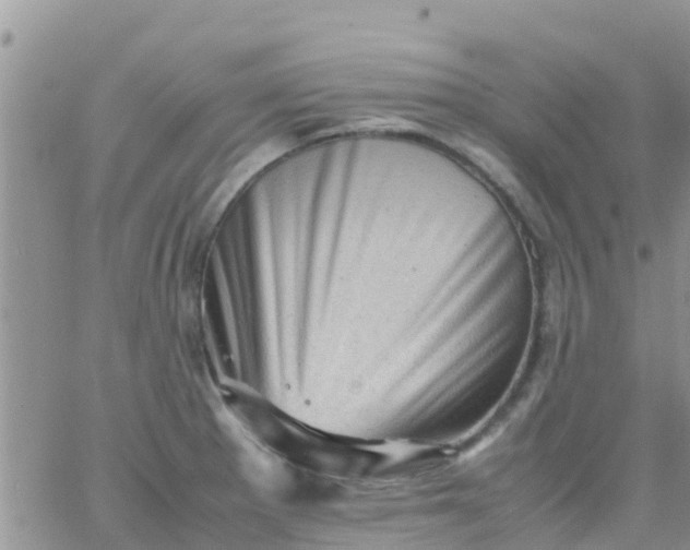 X0000065981281200603172106