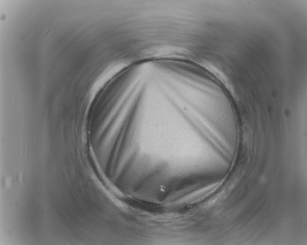 X0000065981285200603172106