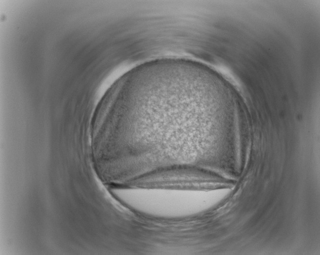 X0000065981287200603172106