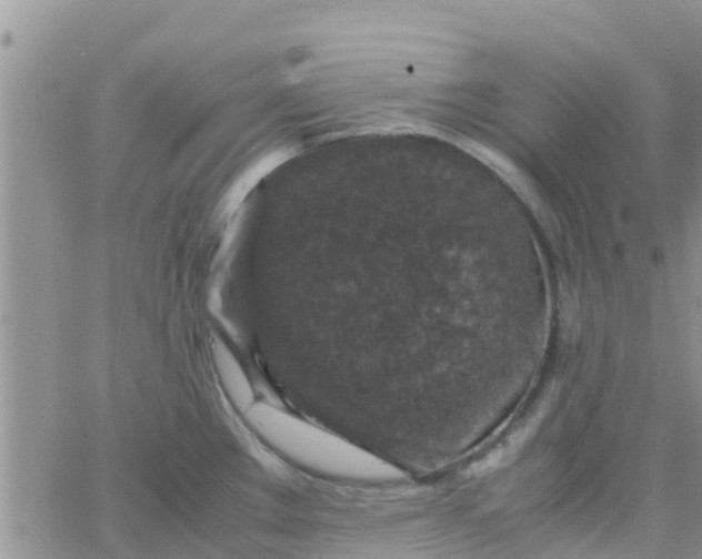 X0000065981289200603172106