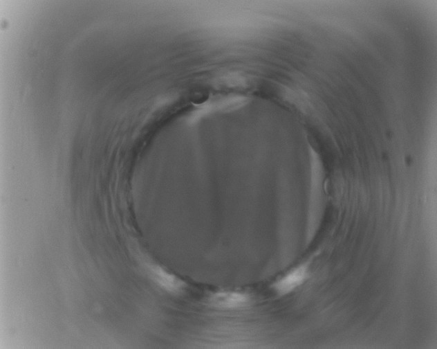 X0000065981297200603172105