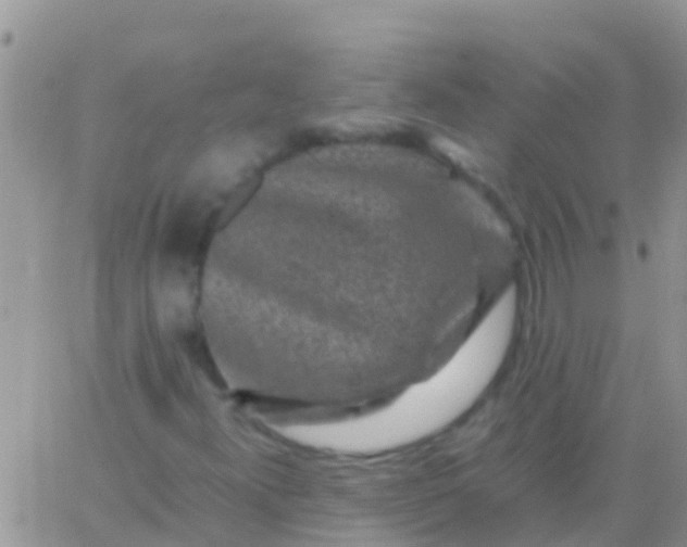 X0000065981300200603172105