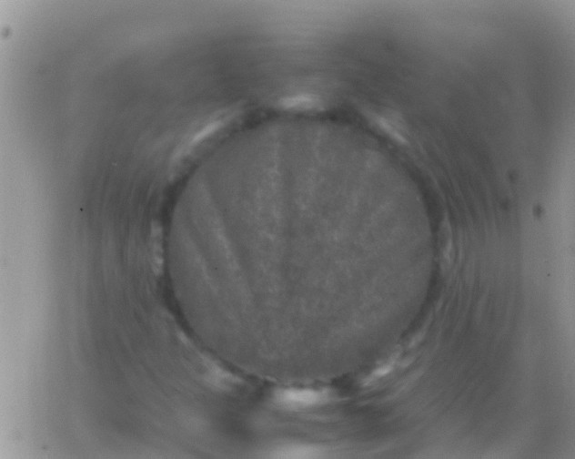 X0000065981301200603172105