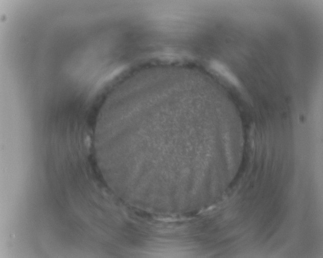 X0000065981302200603172105