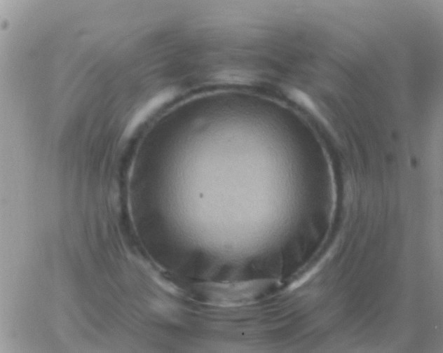 X0000065981307200603172105