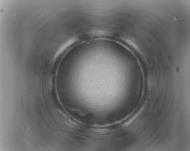 X0000065981309200603172105