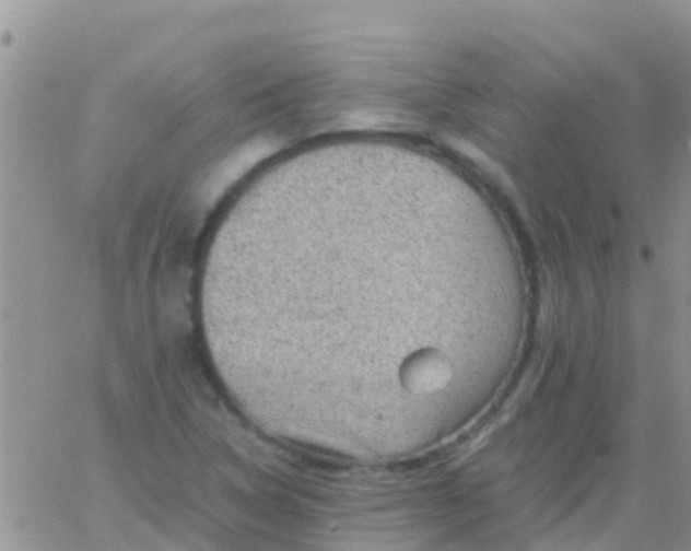 X0000065981314200603172105