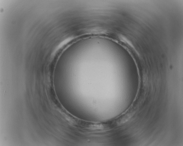 X0000065981315200603172105