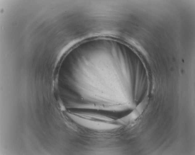 X0000065981316200603172105