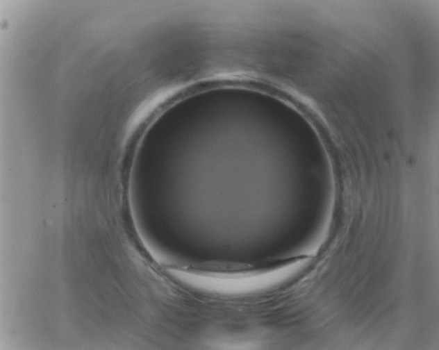 X0000065981319200603172105