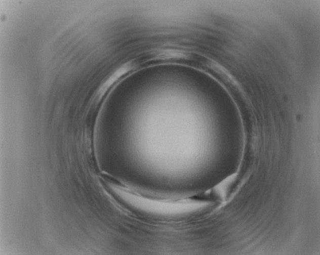 X0000065981321200603172105