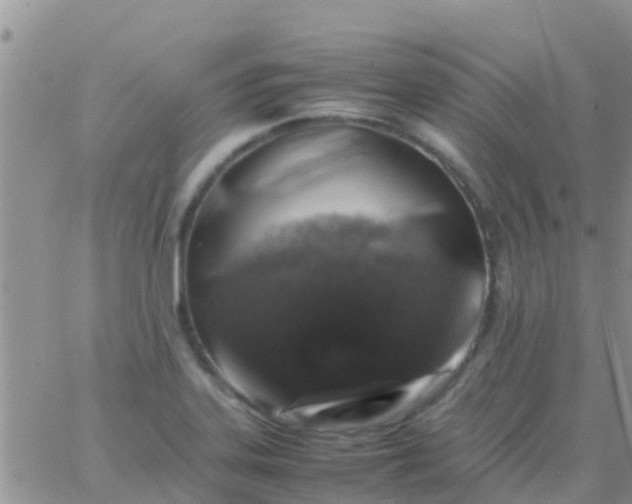 X0000065981323200603172105