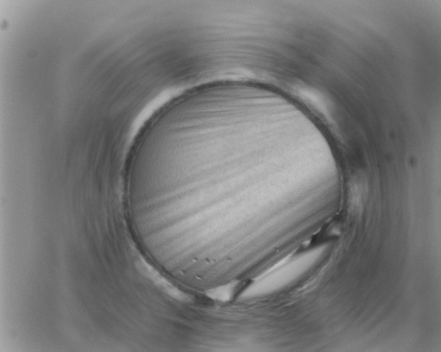 X0000065981326200603172105