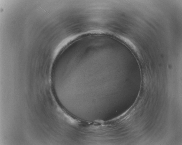 X0000065981327200603172105